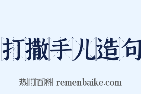 打撒手儿造句是什么意思的图片